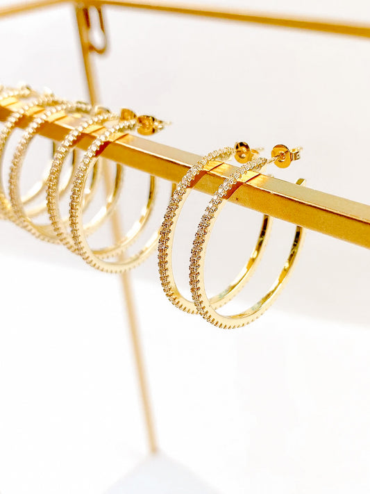 TS Willa Hoops